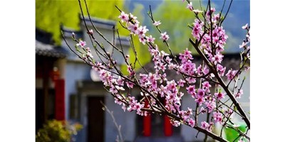 阳春三月，尊龙凯时一大波展会即将来袭，您准备好了吗？