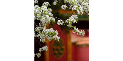【展会资讯】尊龙凯时5月展会一览，等您来参观！